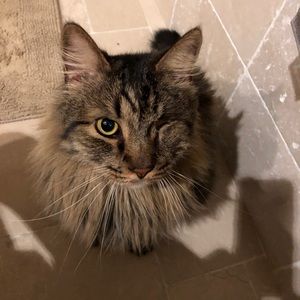 Meet your Posher, Jill